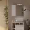 Miroir de salle de bain LED avec colonne 1 porte blanc gris Pilar BC Catalogue
