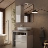 Miroir de salle de bain LED avec colonne 1 porte blanc gris Pilar BC 