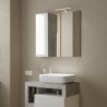 Miroir de salle de bain avec éclairage LED colonne 1 battante blanc gris Pilar BC 