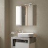 Miroir de salle de bain LED avec colonne 1 porte blanc gris Pilar BC 