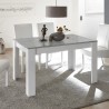 Table extensible 90x137-185cm blanc brillant gris ciment Sly Basic Réductions