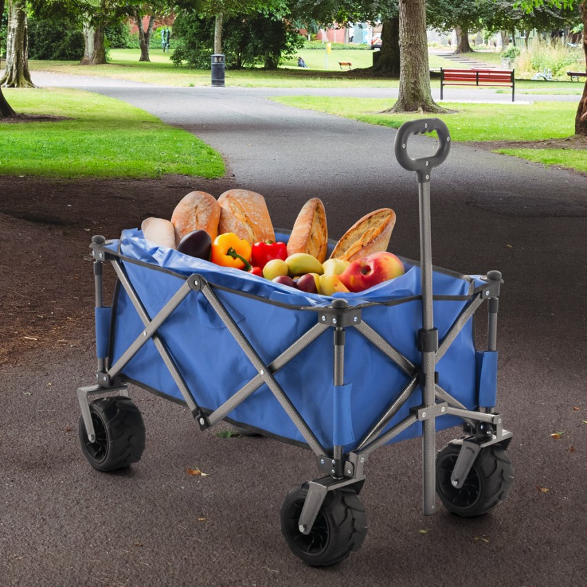 Chariot Pliant À 4 Roues 100kg Pour La Plage Et Le Jardin Sandy