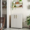 Armoire extérieure 80x45x98h étagère réglable Groove Basso Keter Promotion