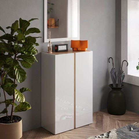 Armoire à chaussures d'entrée 2 portes 70x35x111cm blanc brillant bois Indy Promotion