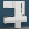 Ensemble meuble à chaussures armoire d'entrée avec miroir et porte-manteaux 2 meubles Linda Modèle