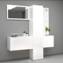Ensemble meuble à chaussures armoire d'entrée avec miroir et porte-manteaux 2 meubles Linda Choix