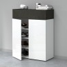 Meuble à chaussures moderne blanc 2 portes 4 étagères 76x34x100 cm Ayenne 
