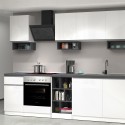 Cuisine linéaire complète 256 cm design moderne modulable Domina 