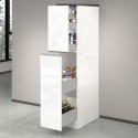 Meuble de cuisine moderne avec 2 tiroirs à épices 30x60x164,5 Trym 