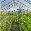 Serre de jardin en aluminium polycarbonate 220x150-220-290x205h Sanus M Choix