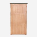Armoire en bois de rangement pour jardin 87x45x160cm 2 portes Mallard Caractéristiques