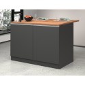 Îlot central pour cuisine moderne 2 portes table en bois 125x90x90cm Deer 