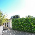 Haie de jardin artificielle en treillis extensible 2x1m Laurus Vente