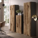 Armoire moderne bureau séjour 2 portes 3 étagères 63x35x184cm Monts 