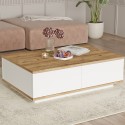 Table basse en bois blanche de salon avec 2 niches 90x60cm Tynne Remises