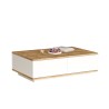 Table basse en bois blanche de salon avec 2 niches 90x60cm Tynne Réductions
