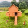 Poulailler en bois surélevé de jardin poules 370x174x172 Hegg Remises