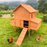 Poulailler en bois surélevé de jardin poules 370x174x172 Hegg Réductions