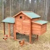 Poulailler en bois de jardin extérieur pour poules pondeuses 152x62x92 Marf Vente