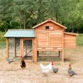 Poulailler en bois de jardin extérieur pour poules pondeuses 152x62x92 Marf Promotion
