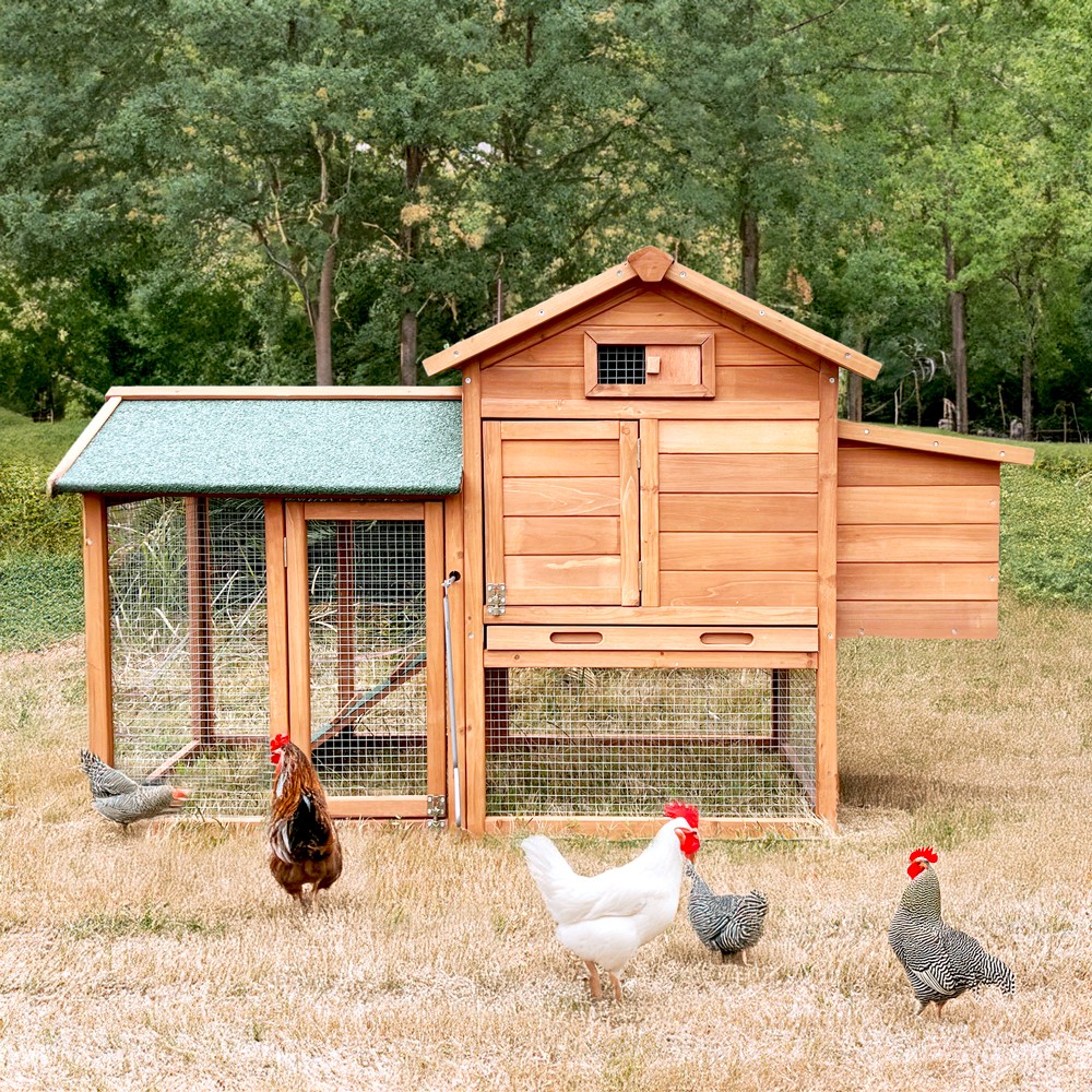 Poulailler en bois pour poules pondeuses de jardin extérieur 152x62x92 Marf