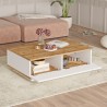 Table basse en bois blanche de salon avec 2 niches 90x60cm Tynne Catalogue