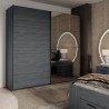 Armoire dressing miroir portes coulissantes 220x61x210 chêne foncé Wamin Vente
