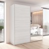 Armoire à portes coulissantes avec miroir 220x61x210 Chêne Blanc Paine Vente