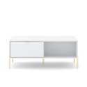 Table basse de salon à 2 portes de rangement blanc doré Oviedo Offre