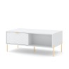 Table basse de salon à 2 portes de rangement blanc doré Oviedo Remises