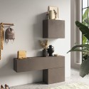 Meuble d'entrée moderne suspendu avec porte profondeur 30 cm Infinity 58 Promotion