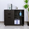 Meuble de bureau pour documents avec roulettes et serrure Twatt Prix