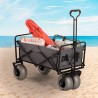 Chariot de plage tout-terrain pliable 4 roues larges pneumatiques Dory Vente