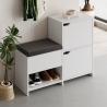 Meuble à chaussures d'entrée avec banc de rangement et 2 portes Haven Offre