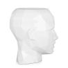 Vase décoratif design visage féminin en résine laquée Ruzid-L Offre