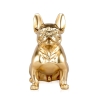 Statue Bulldog Français en Résine Dorée Design Moderne Forma-G Réductions