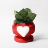 Favoris / Cadeau avec plante Sansevieria nana dans un pot décoré avec cœur Eden Vente