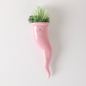 Plante succulente en pot cornet en céramique Paola Rolando Partenope Offre