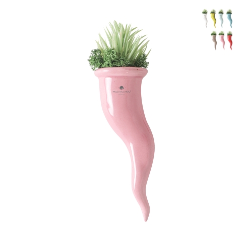 Plante succulente en pot cornet en céramique Paola Rolando Partenope Promotion
