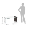 Table basse en verre courbé et bois 110x55x42cm Feng S Remises