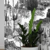 Papier peint adhésif moderne blanc et noir pour salon Cactus Remises