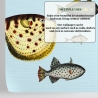 Papier peint mer azur pour salon couloir Poissons Tropicaux Modèle