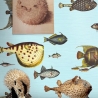 Papier peint mer azur pour salon couloir Poissons Tropicaux Offre
