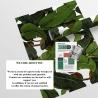Papier peint jungle forêt pour salon moderne Feuilles de Bananiers Réductions