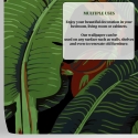 Papier peint adhésif design jungle nature Feuille de Banane Noire Catalogue