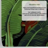 Papier peint adhésif design jungle nature Feuille de Banane Noire Catalogue