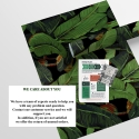 Papier peint adhésif design jungle nature Feuille de Banane Noire Choix