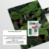 Papier peint adhésif design jungle nature Feuille de Banane Noire Choix