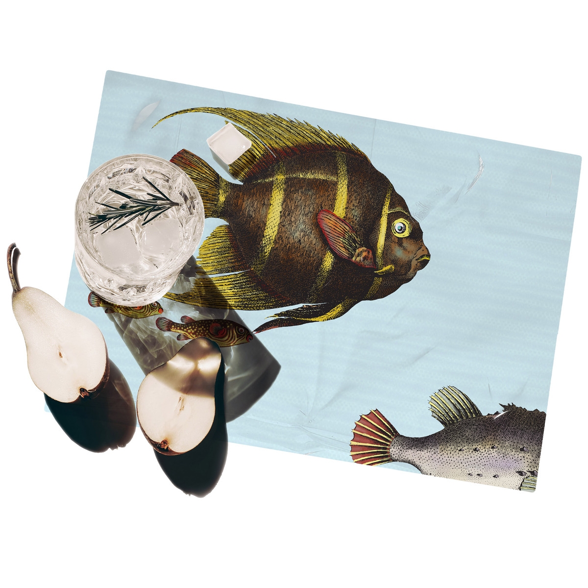 Ensemble de 2 sets de table design marin 42x30 cm Acquario Promotion Ensemble de 2 sets de table design marin 42x30 cm Acquario Promotion