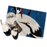 Ensemble de 2 sets de table lavables 42x30 cm Aironi Blu Promotion